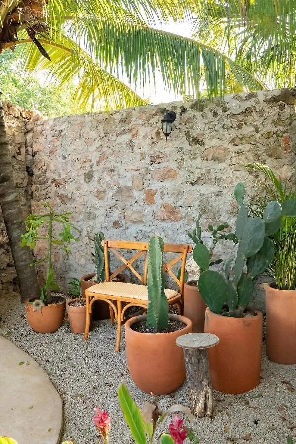 Villa Casa Cactus Buenavista Bacalar 0*,