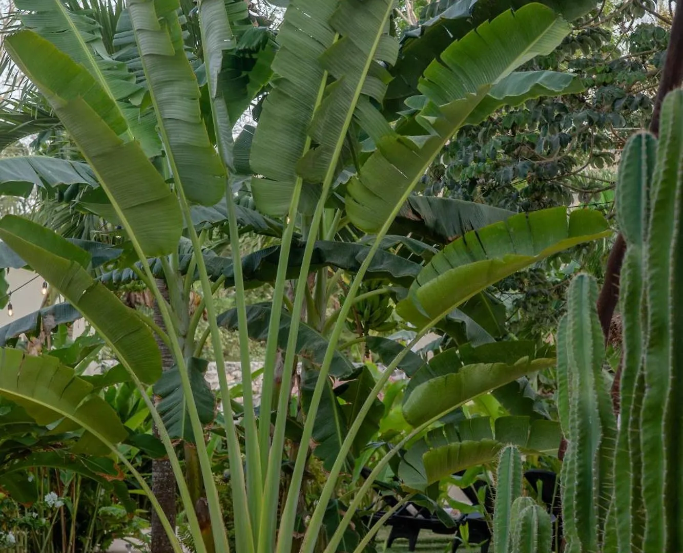 Villa Casa Cactus Buenavista à Bacalar