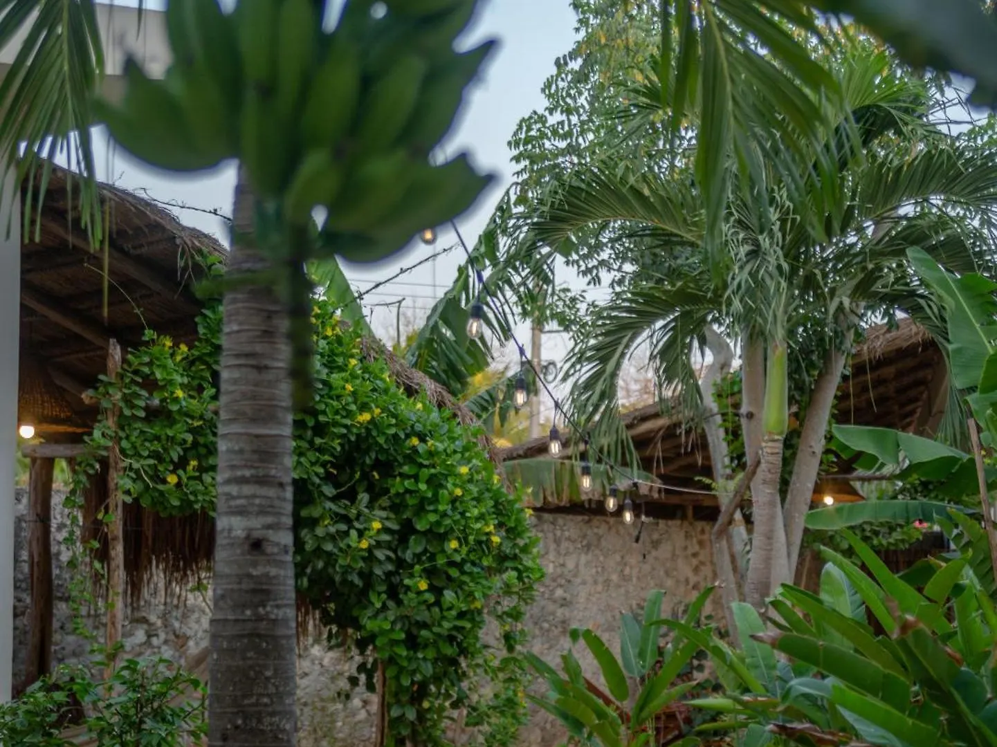 Lodge Villa Casa Cactus Buenavista à Bacalar